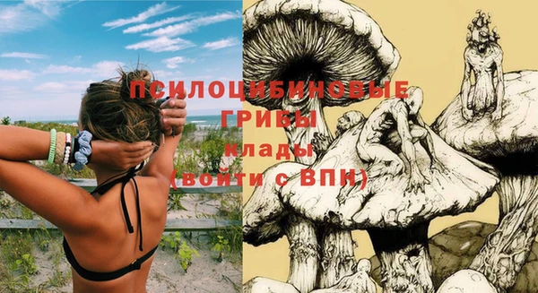 Альфа ПВП Саяногорск