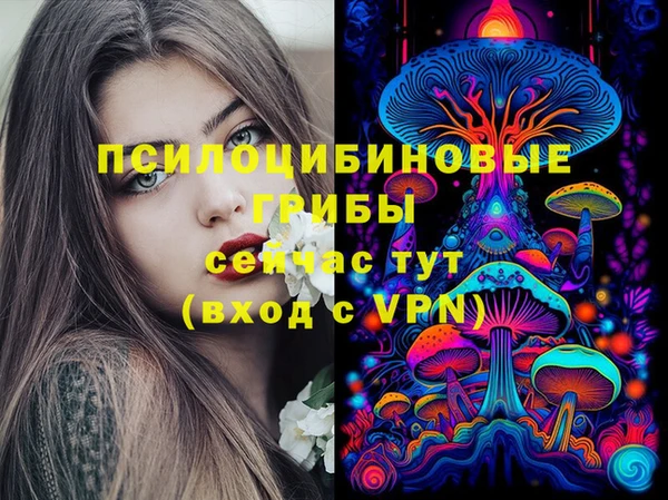 MDMA Богданович