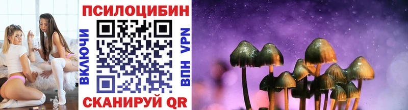 Галлюциногенные грибы Psilocybe  Моршанск 