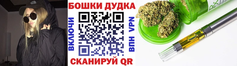 Шишки марихуана AK-47  как найти   Моршанск 